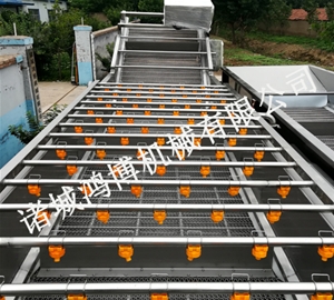 專業(yè)蔬菜清洗機(jī)